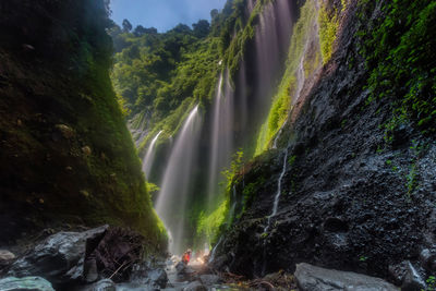 Scenic view of waterfall