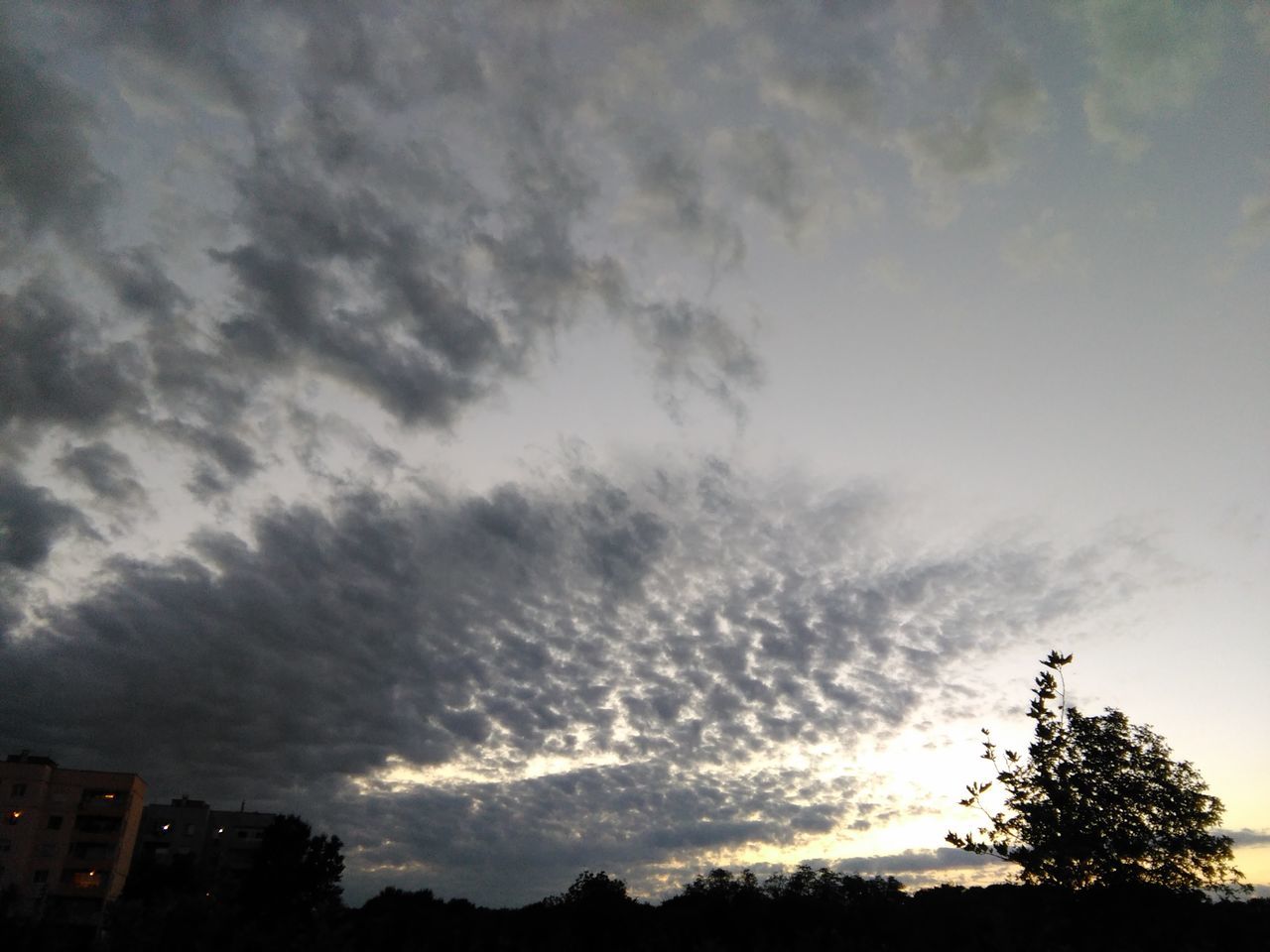 cloud - sky, sky, low angle view, tree, silhouette, nature, sunset, beauty in nature, no people, outdoors, storm cloud, day