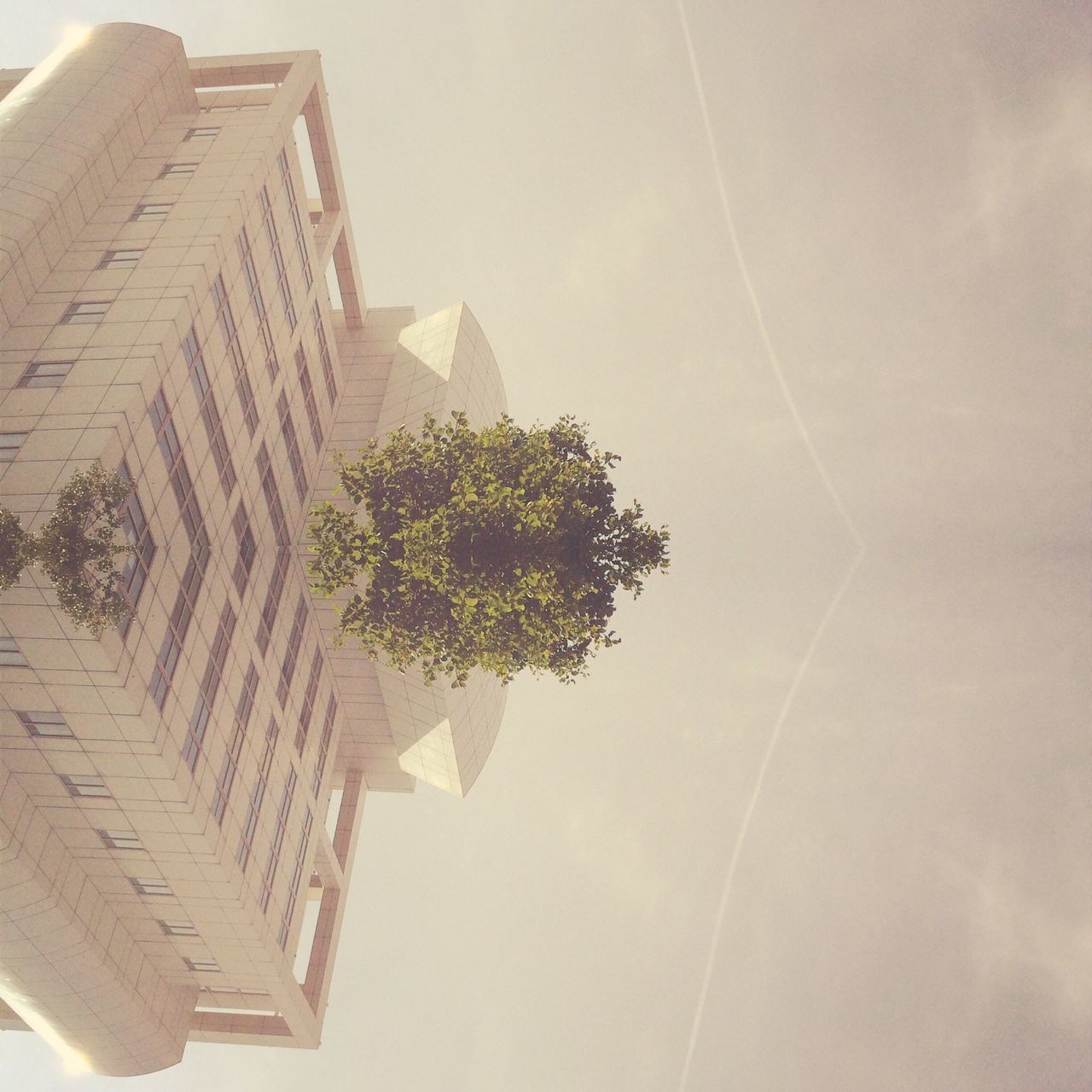 building exterior, architecture, built structure, low angle view, sky, city, tall - high, building, tree, modern, tower, skyscraper, office building, day, outdoors, no people, growth, clear sky, residential building, sunlight