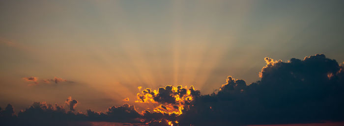 Low angle view of silhouette trees against sky during sunset