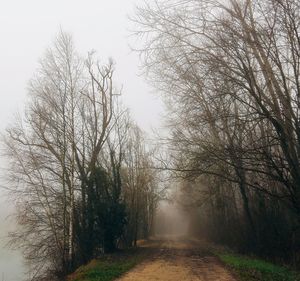 Scenic view of bare trees against sky