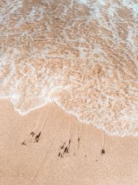 High angle view of beach