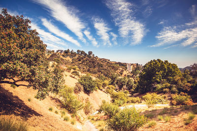 Plants growing on land against sky