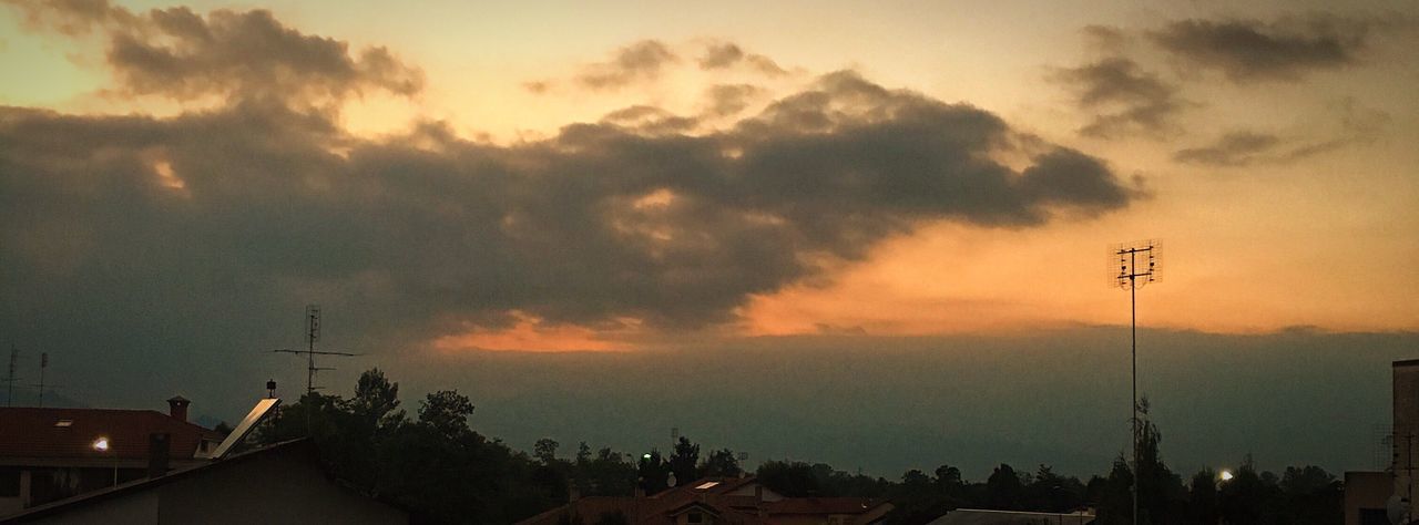 SILHOUETTE OF TREES AT SUNSET