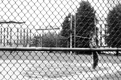 Full frame shot of chainlink fence