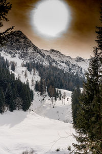 Scenic view of tree mountains against sky during winter