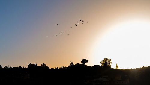 Low angle view of silhouette bird flying in sky