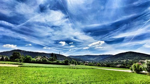 Scenic view of field against sky