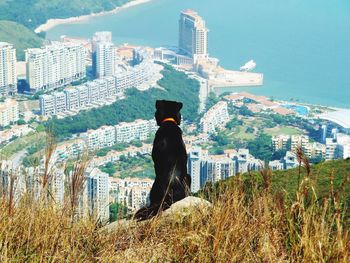 Rear view of man and cityscape against sky