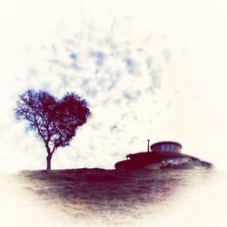 Close-up of tree against sky