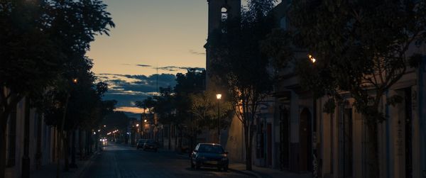 Street amidst trees against sky at dusk