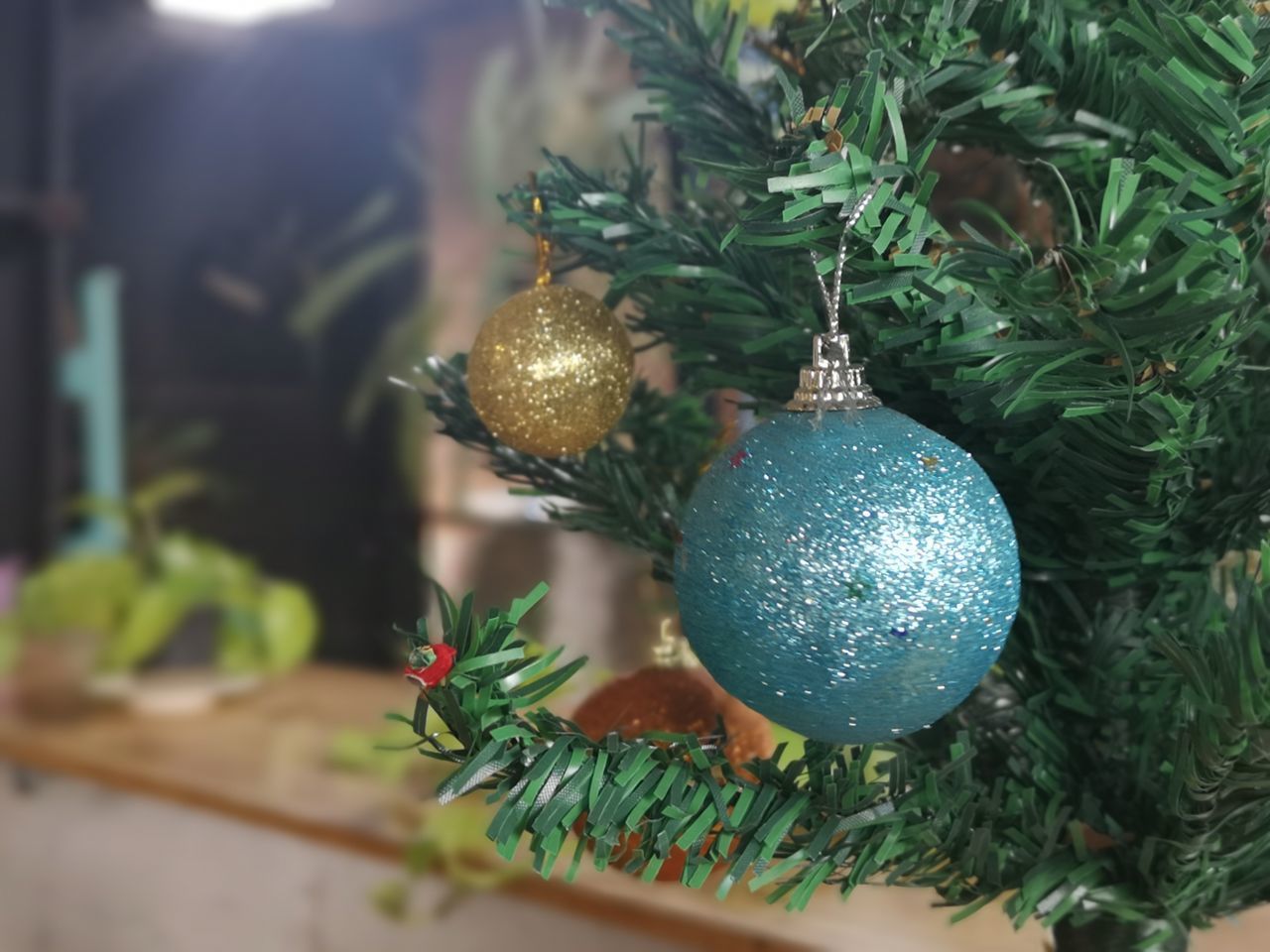 CLOSE-UP OF CHRISTMAS TREE ON BRANCH