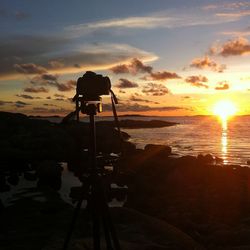 Scenic view of sea at sunset
