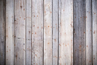 Close-up of wooden plank
