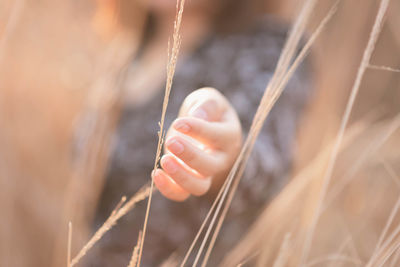 Close-up of hand holding blurred background