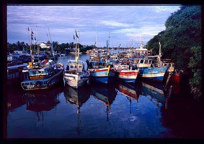 Boats moored at harbor