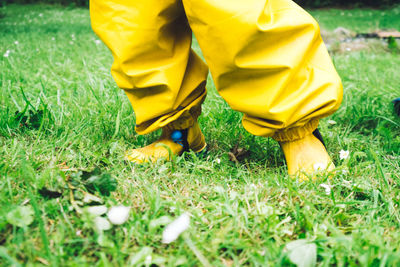 Low section of man on grass