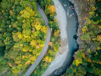 High angle view of autumn trees by land