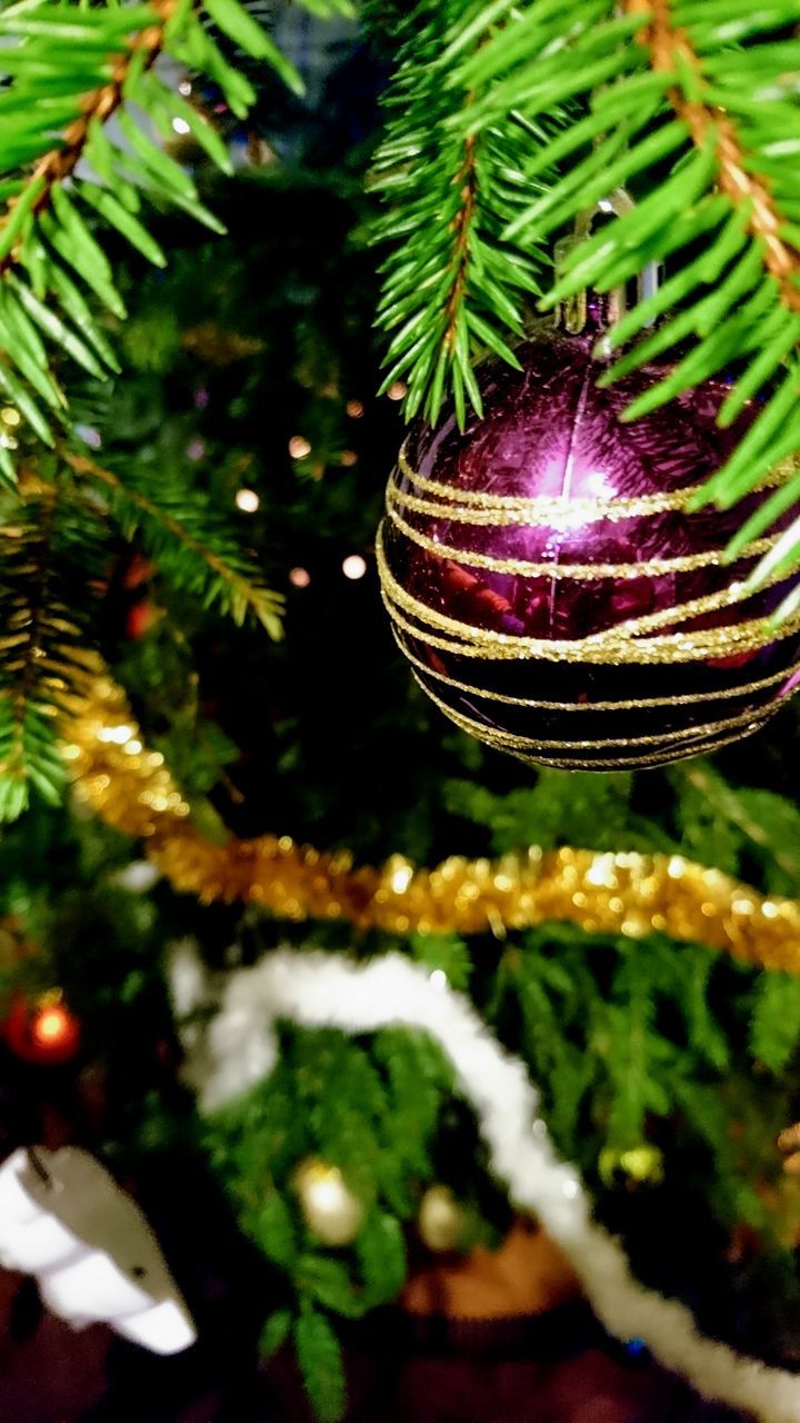 CLOSE-UP OF ILLUMINATED CHRISTMAS TREE