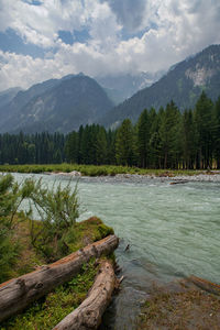 Scenic view of lake in forest against sky