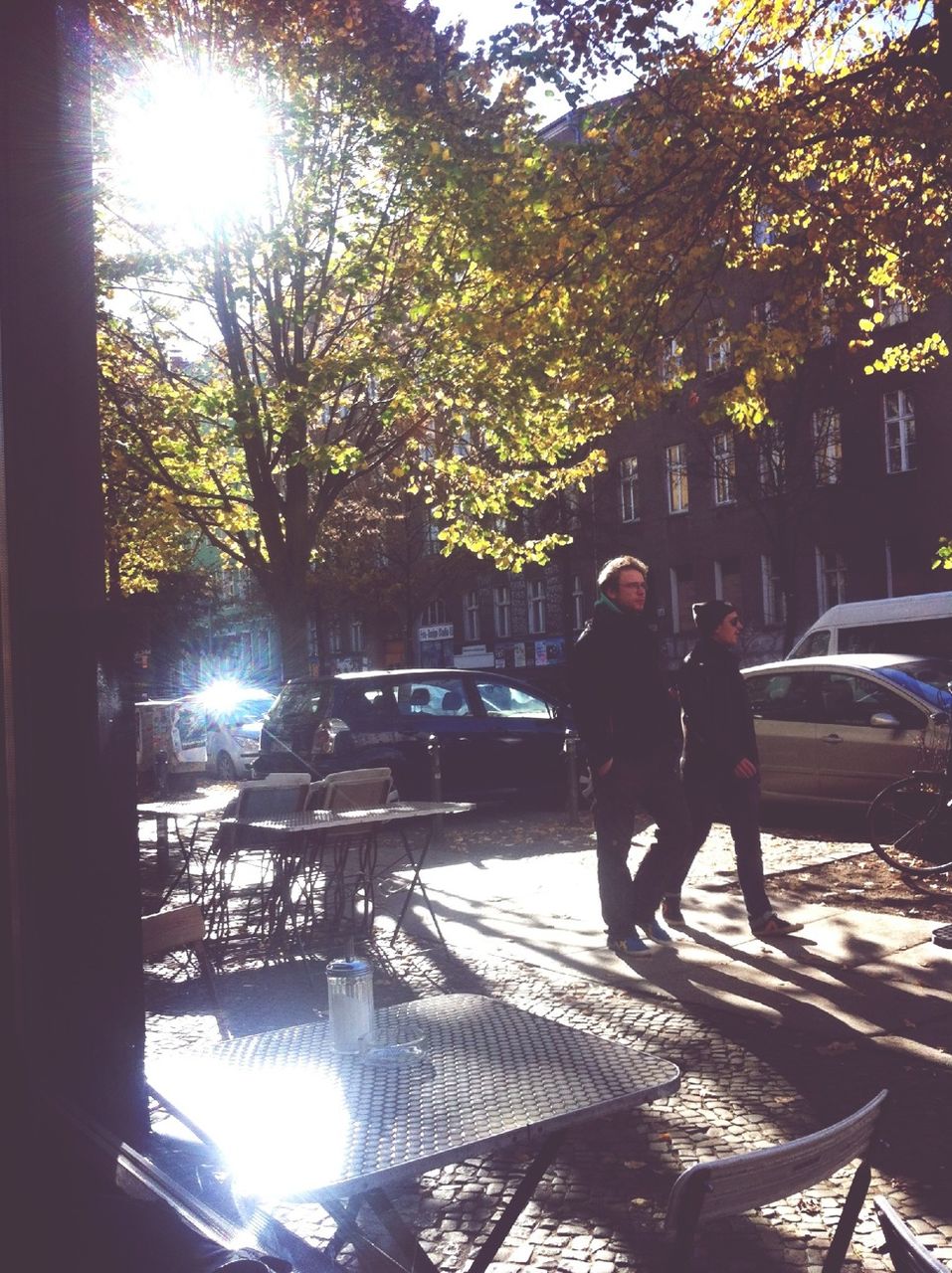 sun, tree, sunlight, lifestyles, sunbeam, lens flare, leisure activity, men, full length, walking, sunny, person, bright, standing, rear view, shadow, water, outdoors