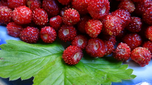 Close-up of strawberries