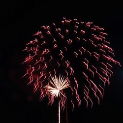 Low angle view of firework display