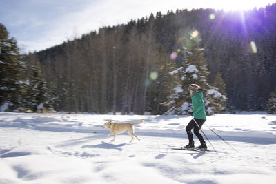 A woman skate skiing with her yellow lab.