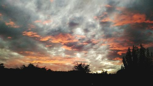 Silhouette trees against dramatic sky during sunset