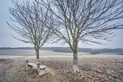 Bare tree on field against sky