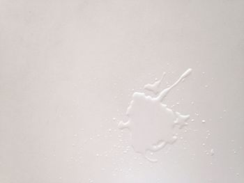 Close-up of object over white background