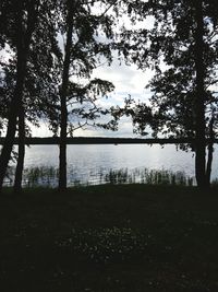 Scenic view of lake with trees in the background