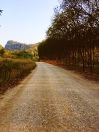 Road amidst trees against clear sky