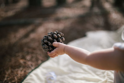 Midsection of person holding ice cream