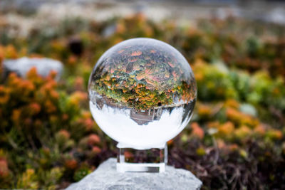 Close-up of crystal ball on field