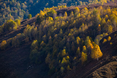 Autumn in the mountains