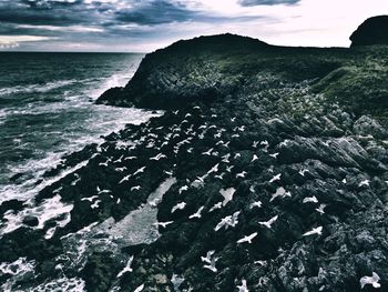 Scenic view of sea against sky