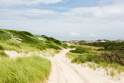 The view along an isolated shoreline road