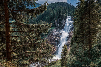 Scenic view of waterfall in forest