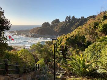 Scenic view of sea against clear sky