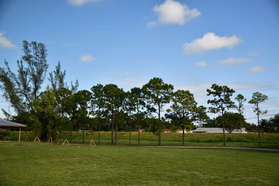 Trees on grass against sky