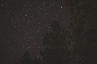 Low angle view of star field at night