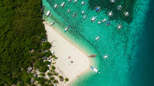 Top view of sland with beautiful beach, palm trees. virgin island, philippines.