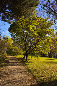 Scenic view of grassy field