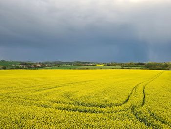 Scenic view of oilseed rape field against sky