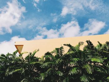 Low angle view of coconut palm tree against sky