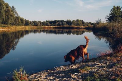 Scenic view of lake against sky