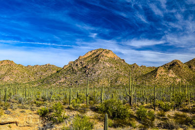 View of landscape against blue sky