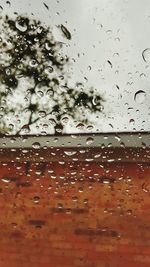 Close-up of water drops on leaf