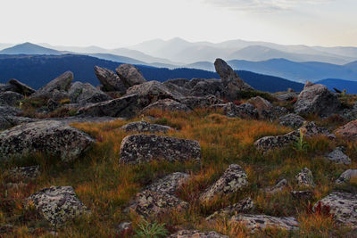 Scenic view of landscape against sky